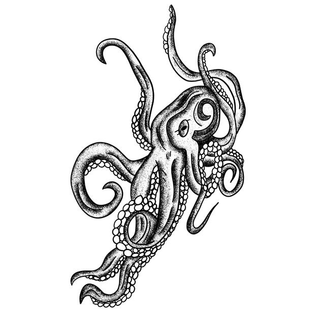 Octopus